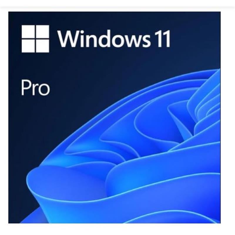 MS WINDOWS 11 PRO TURKCE KUTU (HAV-00159) - MICROSOFT - görsel 2